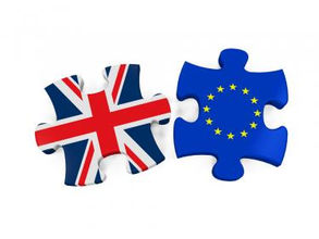 The EU Referendum – what now?