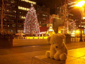 Lonely This Christmas