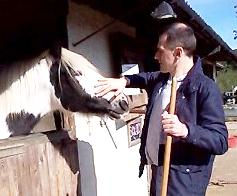 I love working with horses