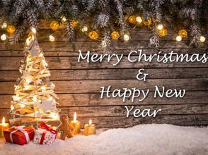 Happy Christmas Festivities
