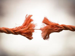 Trust- The human foundation of culture