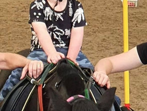 Oakley’s first horse riding lesson