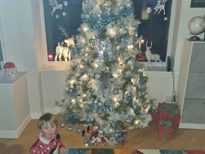 Oakley is all set with the Christmas tree