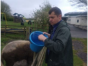 My volunteer work