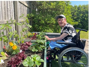Bob’s Summer 2023 Gardening Project
