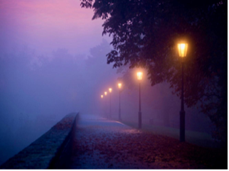 Finding Solutions in the Fog Together